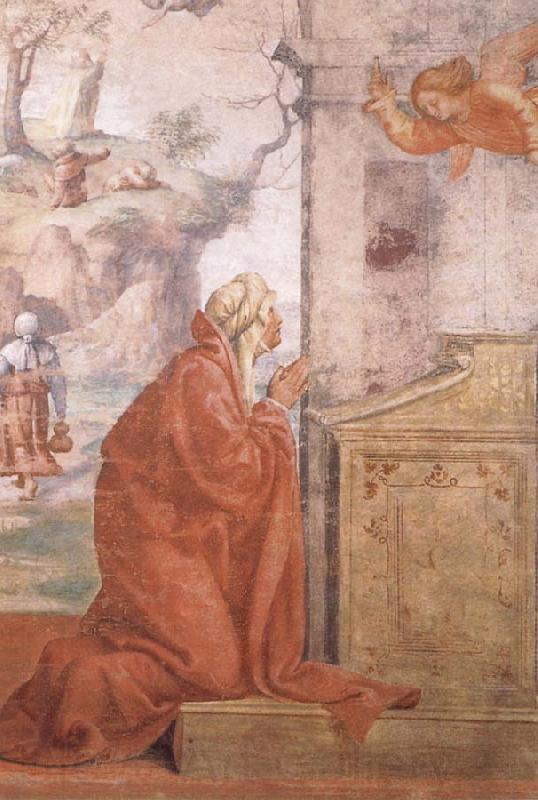 LUINI, Bernardino La Anunciacion del nacimiento de Maria France oil painting art